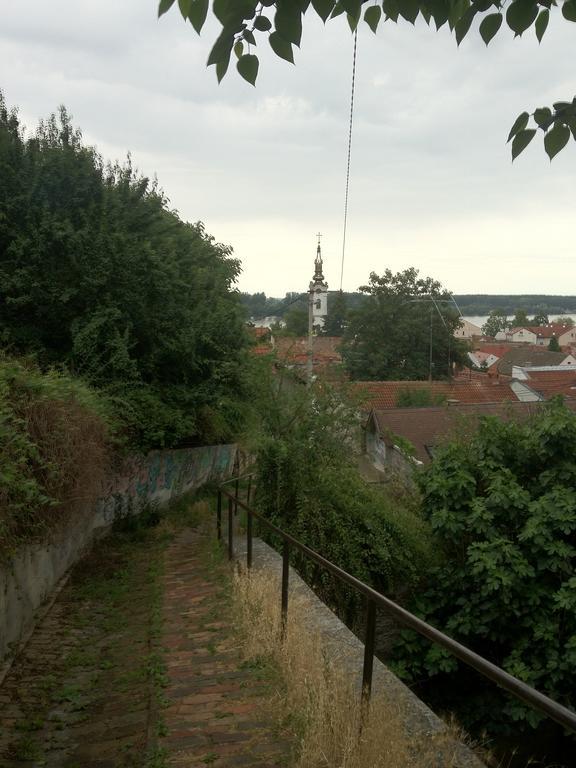 Zemoon Apartment Belgrad Rum bild
